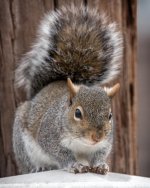 _DSC3826 low res.jpg