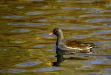 DSC_1289.jpg