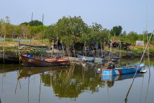 boats-3.jpg