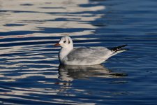 DSC_3501.jpg
