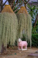 animal-1-3.jpg