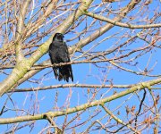 DSC_3549.jpg