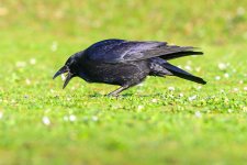 DSC_3573.jpg