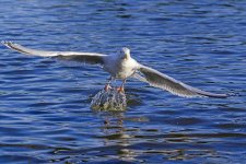 DSC_3626.jpg