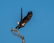 I'm Outta Here!-1.jpg