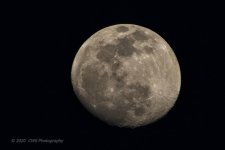 02-06-20-cr-_D7K1630-ON1.jpg