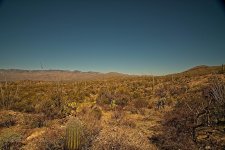 02-08-20-cr-_7501085_HDR-ON1.jpg