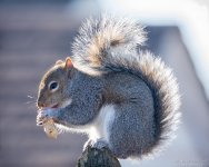 _DSC3843 low res.jpg