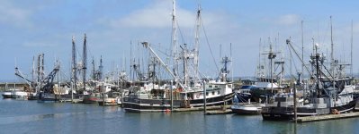 Westport Harbor WA 01 sm.jpg