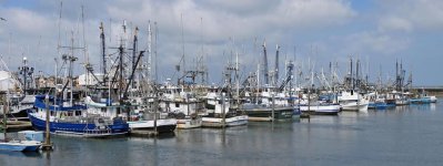 Westport Harbor WA 02 sm.jpg