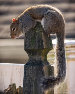 _DSC3847 low res.jpg