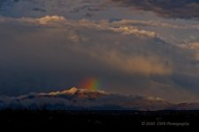 02-10-20-cr-_7501110-ON1.jpg