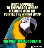 unnamed.jpg