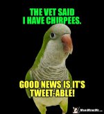 489bc36b5ef62edf2a6f6ef88d767ff6.jpg