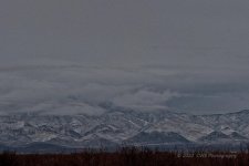 02-11-20-cr-_7501116-ON1.jpg
