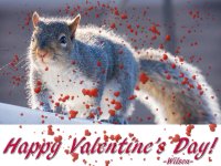 331072d1581713944-february-2020-assignment-romantic-_dsc3832-hearts-low-res.jpg