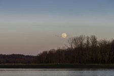 Snow Moon and Geese-R81_1632-Edit.jpg
