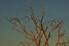 02-15-20-cr-_D7K1660-ON1.jpg