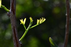 _ROY2683_01.jpg