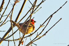 02-16-20-cr-_D7K1682-ON1.jpg