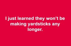 yard.JPG
