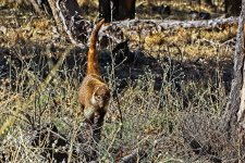 02-18-20-cr-_D7K1705-ON1.jpg