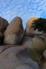02-19-20-cr-_7501228-ON1.jpg