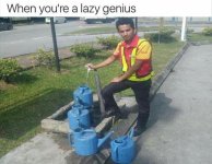 z-funny-776.jpg