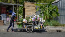 flower-lady-1.jpg