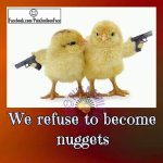 nugget.jpg