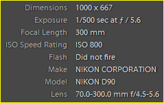 Capture.PNG