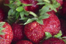 Fraises2.jpg