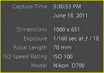 Capture.PNG