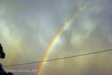 Over the Rainbow-2.jpg