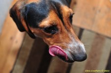 20110622-DSC_7232.JPG