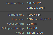 Capture.PNG