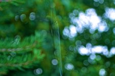 Ethereal.jpg