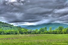 20110625-a111 DSC_7533_4_5_tonemapped.JPG