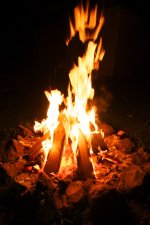 DSC_0022.jpg