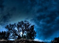 _DSC0447_48_49_50_tonemapped-Edit.jpg