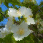 flower theme.jpg