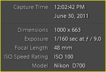 Capture.PNG