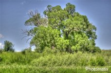 June 2011_5933 (Small) (1)And2more_tonemapped.jpg