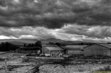 111 DSC_7974_5_6_tonemapped 3 headed cow.jpg