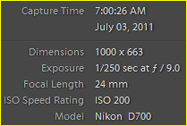 Capture.PNG