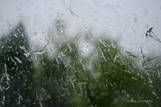 the storm.jpg