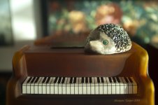 piano fan.jpg