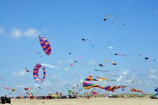 DSC_0092.jpg