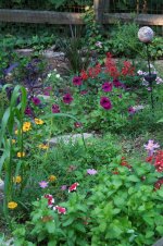 191-garden.jpg