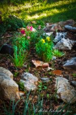 _DSC0006-Edit.jpg